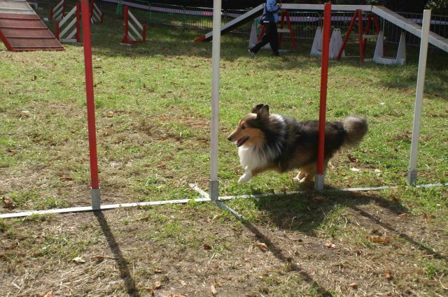 foire-haricots 2011-09-17et18